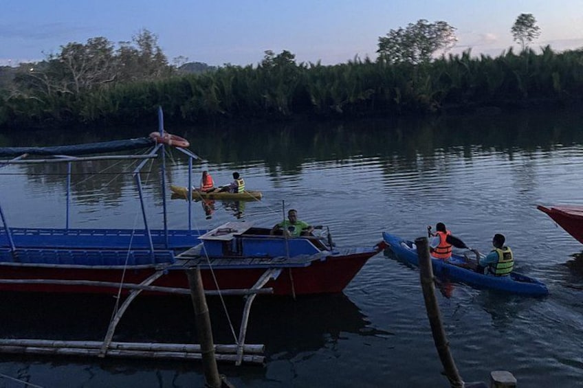 Bohol Firefly Watching by Kayak in Abatan River 5