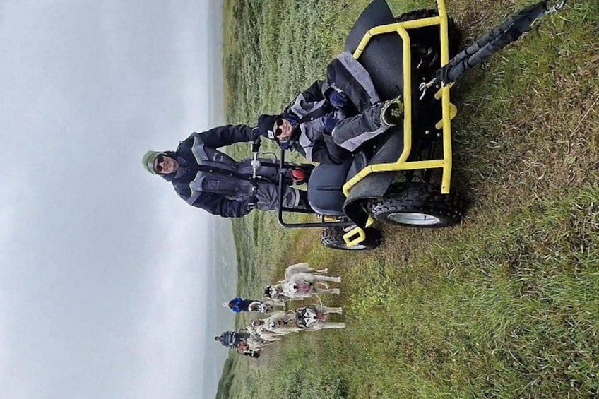 Two people on a yellow ATV with a dog in a grassy field. 2