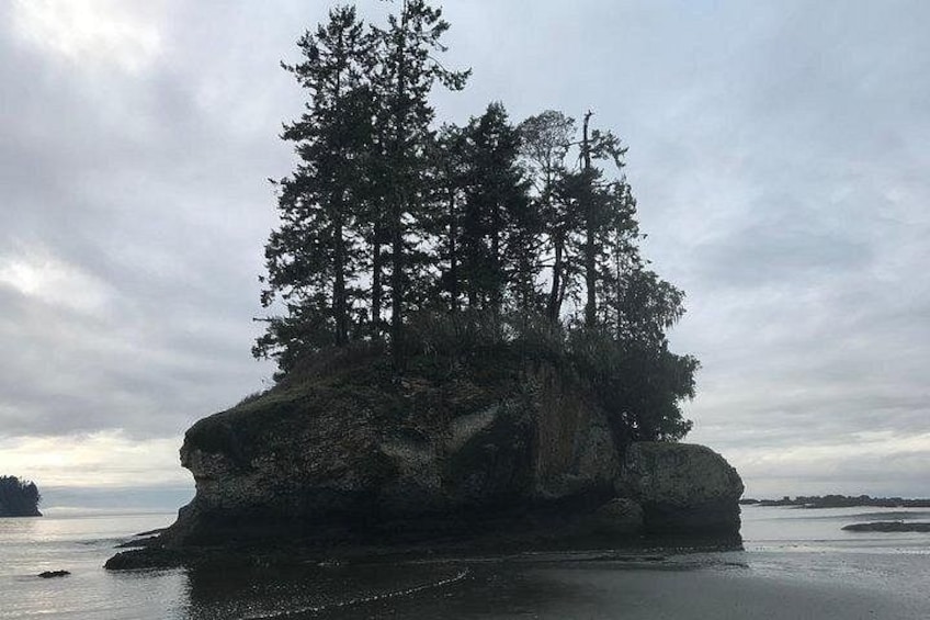 A rocky island with dense coniferous trees and calm water. 2