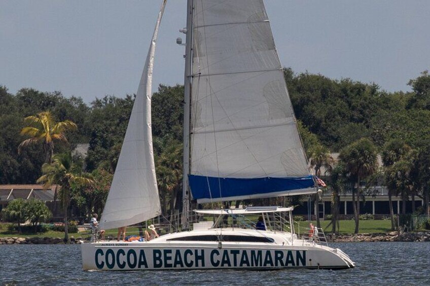 Dolphin Adventure Sail in Cocoa Beach 1