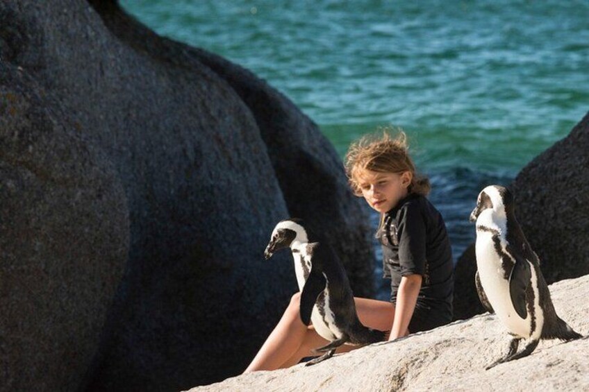 cape of good hope, table mountain and penguin private tour all inclusive 4