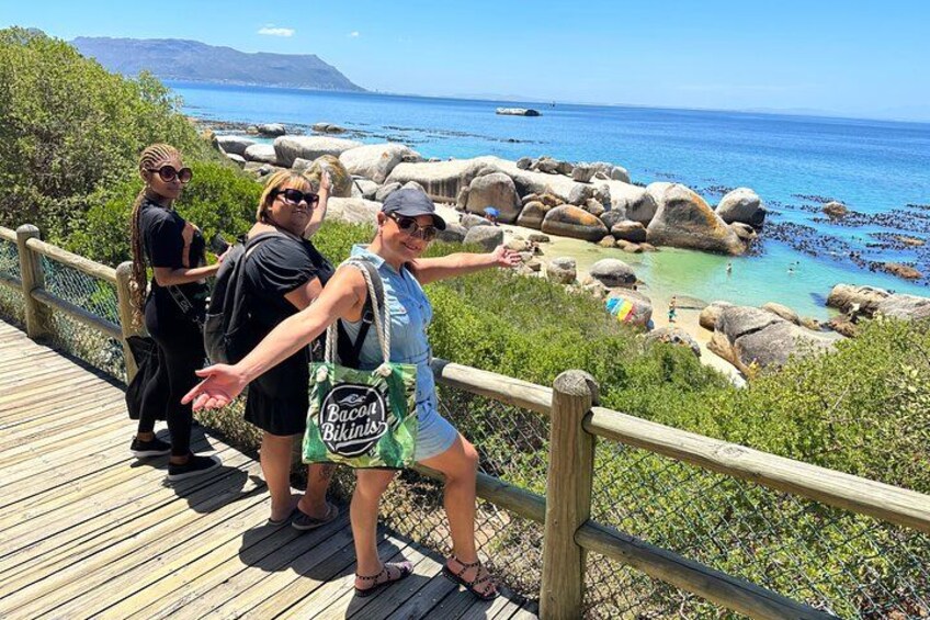 Boulders Beach Penguins 4