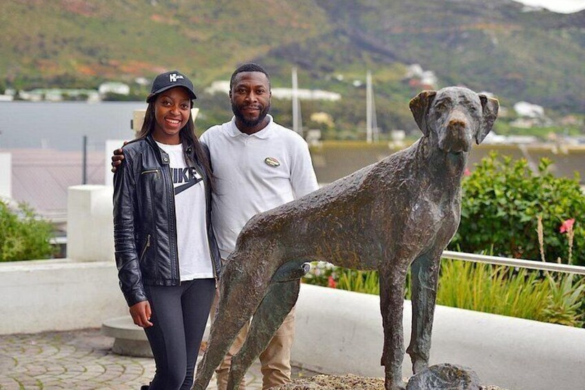 just nuisance dog monument simon's town cape town 3