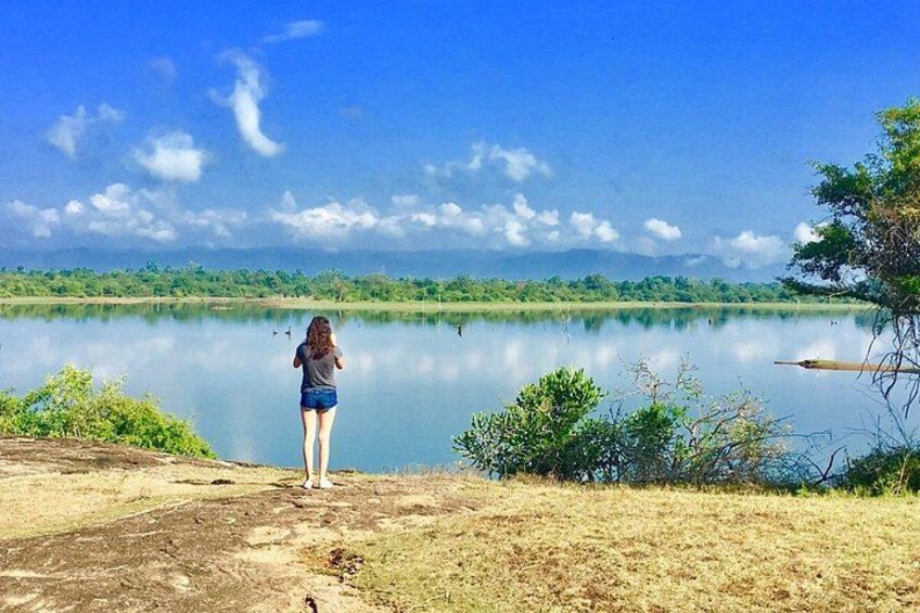Enjoying the view 1