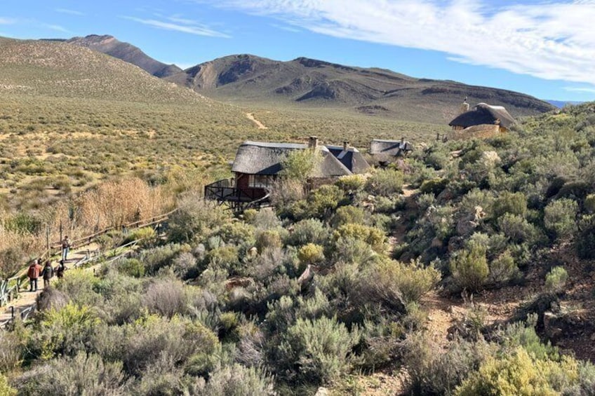 Big 5 Safari Adventure with Return Transfers from Cape Town 2