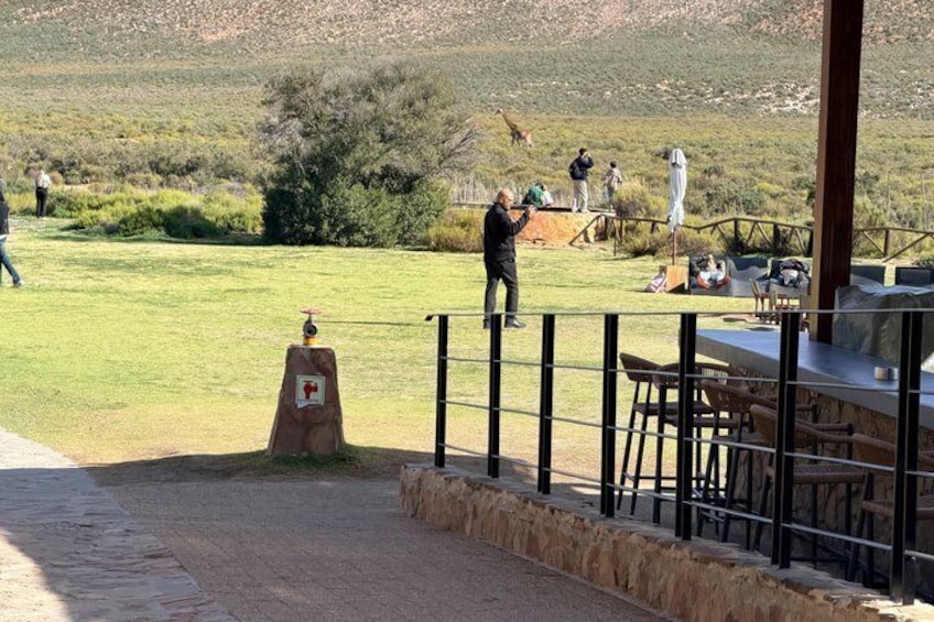 Big 5 Safari Adventure with Return Transfers from Cape Town 3