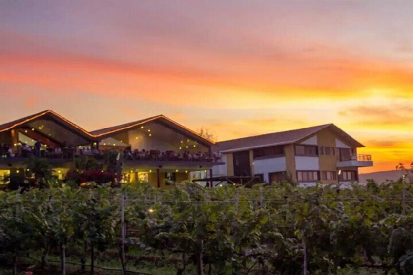 2 Days Private Tour of the Wine Capital of India Nashik 4
