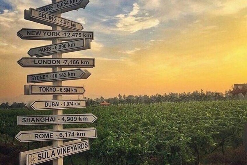 2 Days Private Tour of the Wine Capital of India Nashik 1