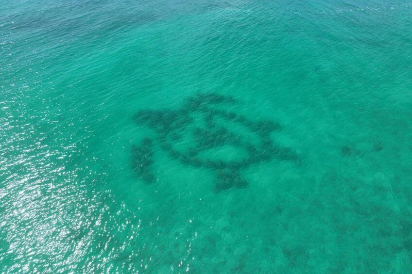 A turquoise sea with a large, dark, circular object partially submerged. 3