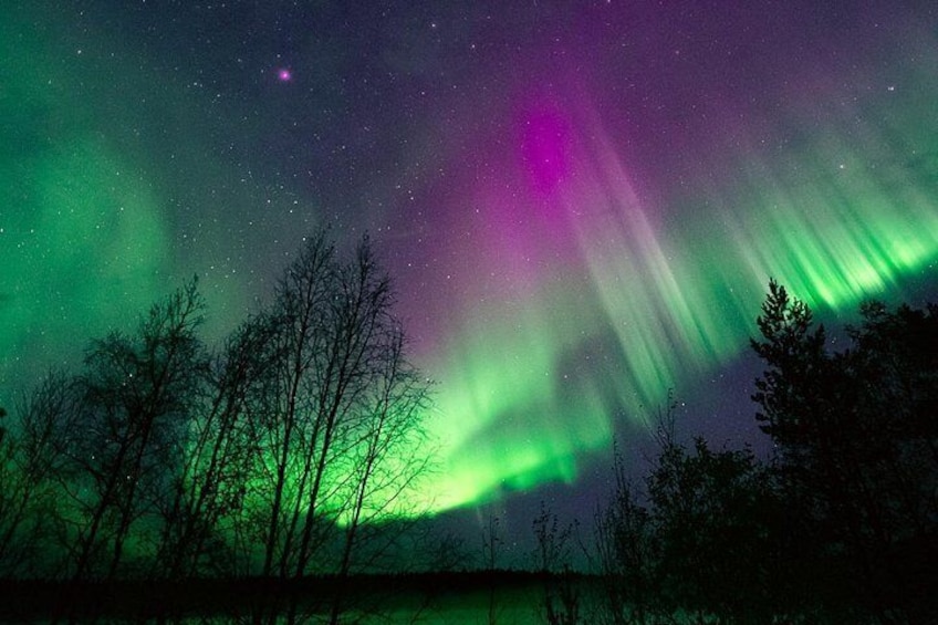The Northern Lights over a forested landscape. 4