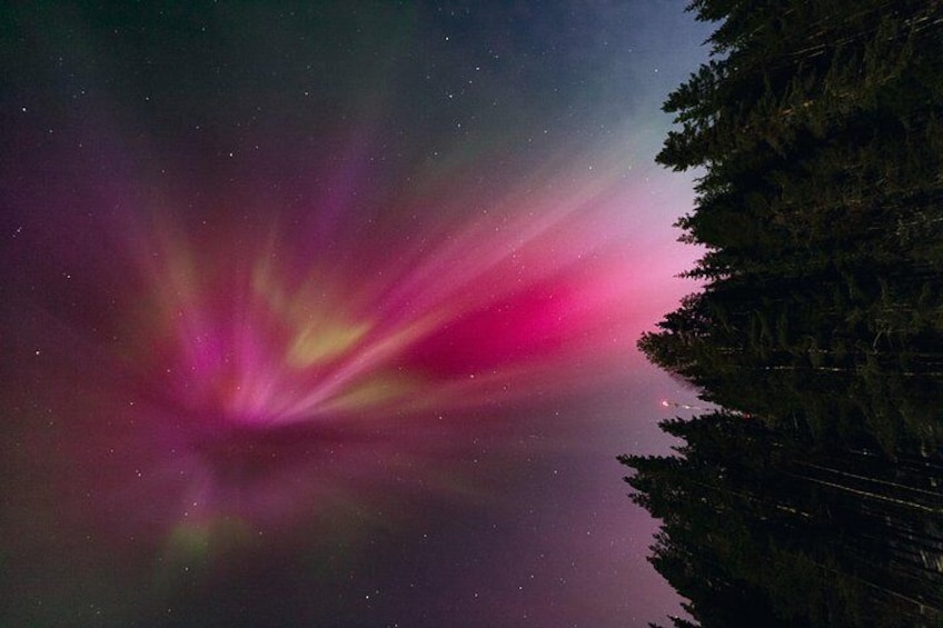 A night sky with aurora borealis over a forest. 2