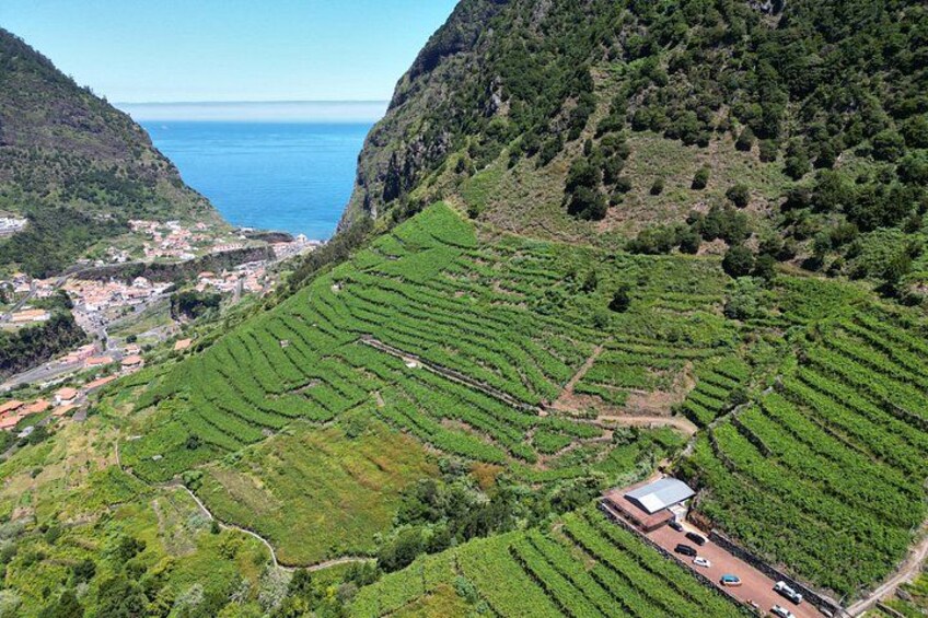 Wine Flavours & tasting, Skywalk and 4x4 Jeep Adventures 4