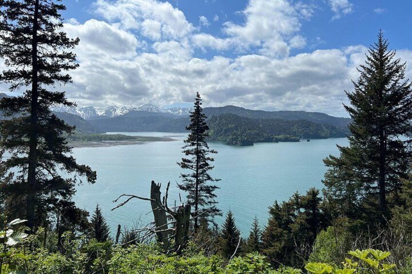 A lake surrounded by mountains and trees. 3