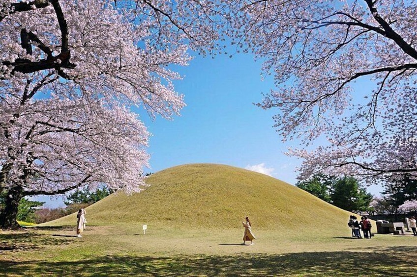 Gyeongju Historic Areas Day Tour with Sky Capsule from Busan 4