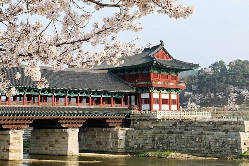 Gyeongju Historic Areas Day Tour with Sky Capsule from Busan 5