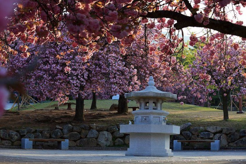 Gyeongju Historic Areas Day Tour with Sky Capsule from Busan 2