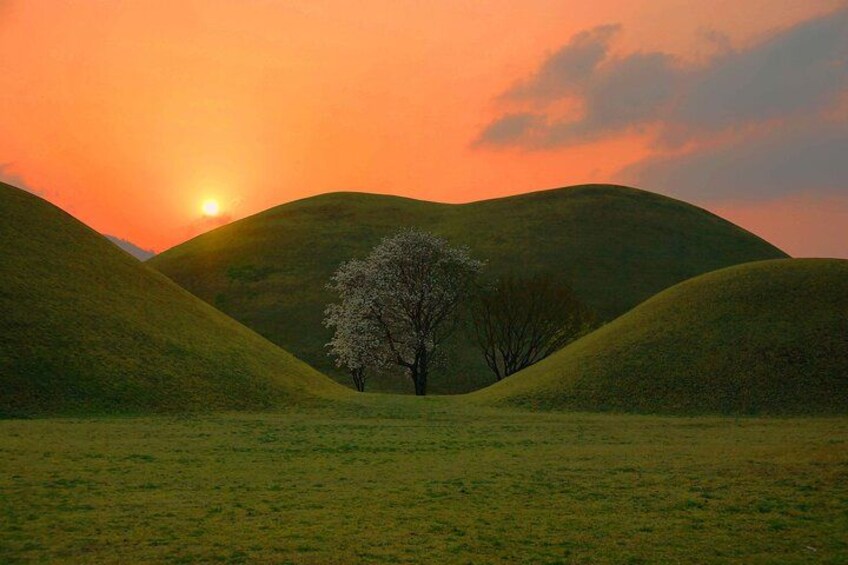 Rolling hills, a lone tree, and a sunset. 3