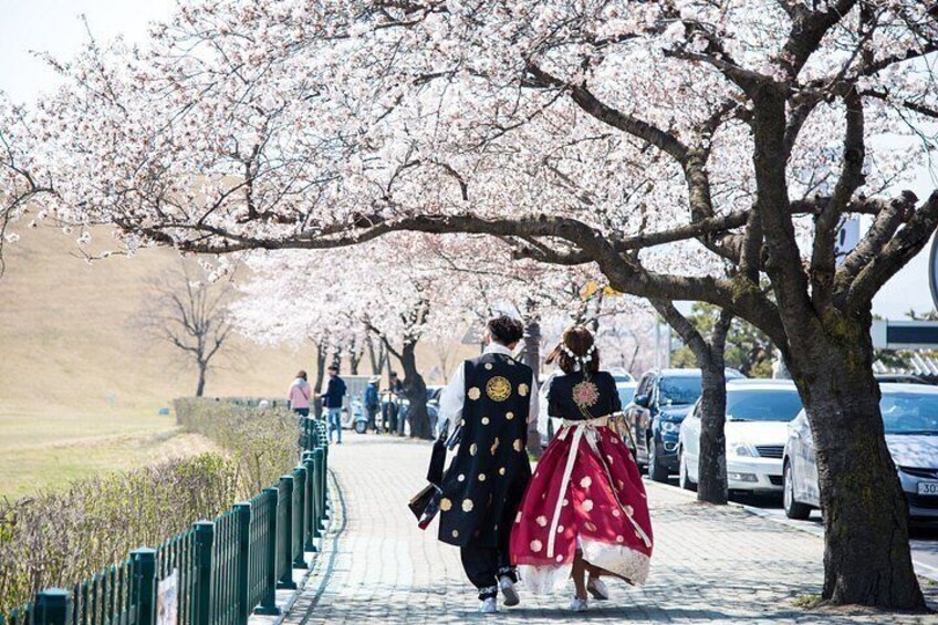 Gyeongju Historic Areas Day Tour with Sky Capsule from Busan 2
