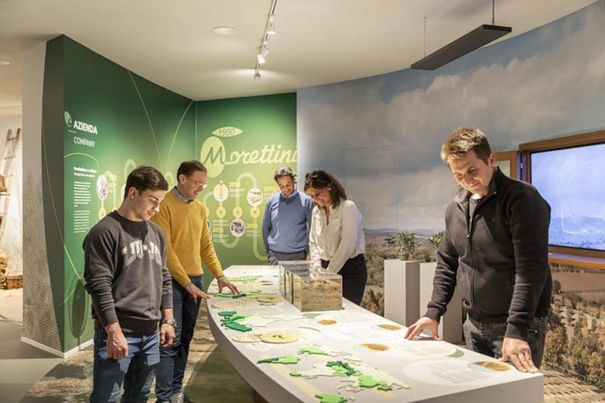 Oil museum and oil mill in Tuscany: tour and tasting 1