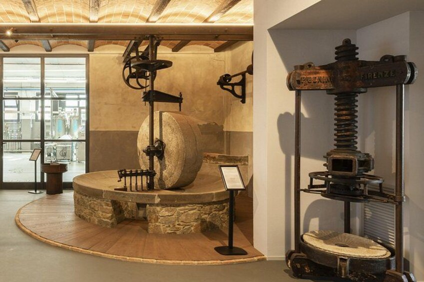 Oil museum and oil mill in Tuscany: tour and tasting 4
