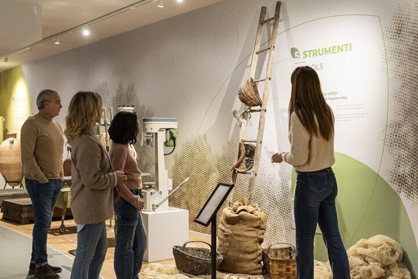 Oil museum and oil mill in Tuscany: tour and tasting 5
