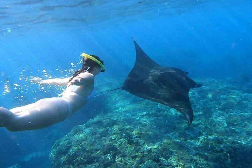Une personne faisant de la plongée avec tuba sous l'eau, avec une raie à proximité. 1