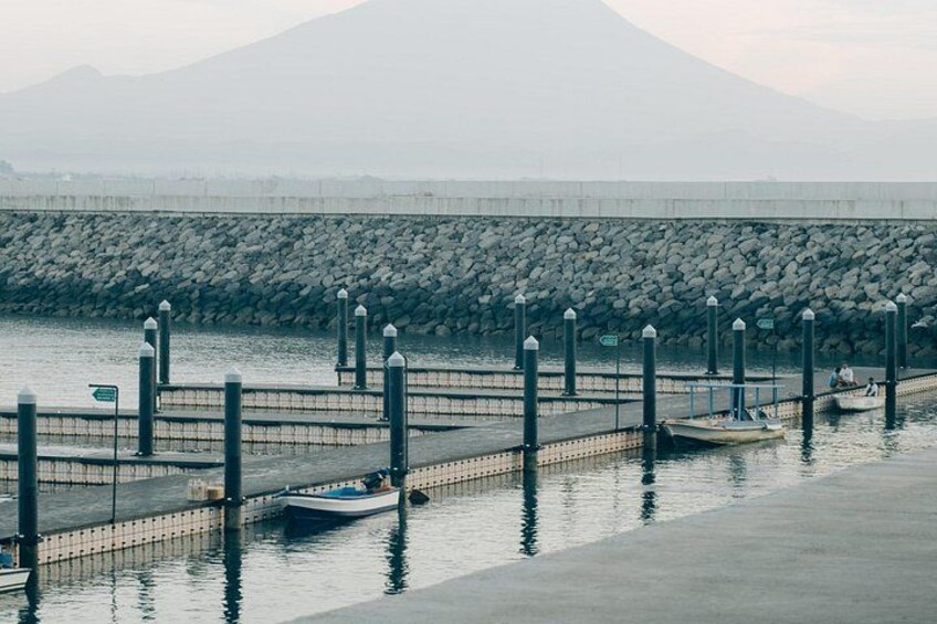 A pier with moored boats, a rocky breakwater, and a mountain in the background. 5