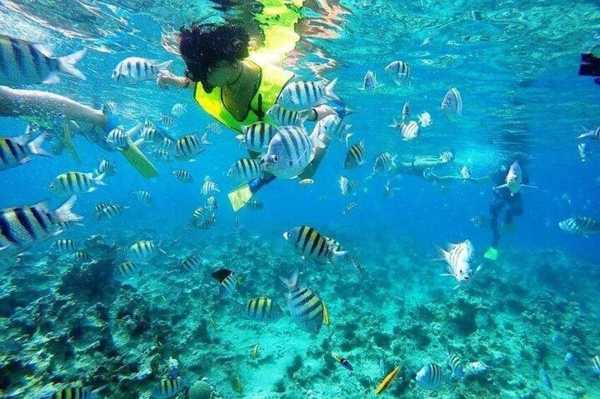 Half Day Sosua Sunset Cruise with Snorkeling 2