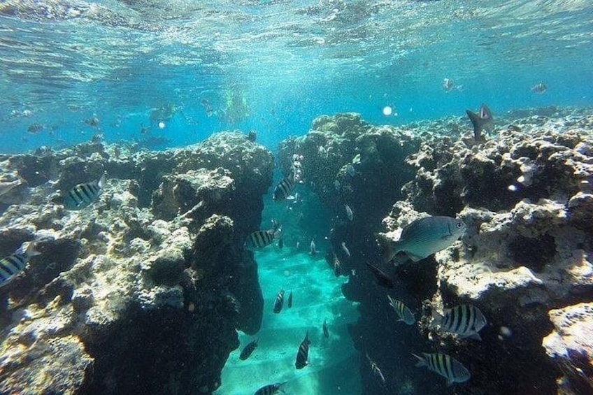 Half Day Sosua Sunset Cruise with Snorkeling 2