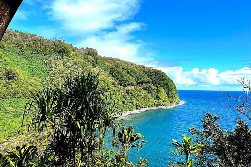 One of the many road to Hana scenic views 4