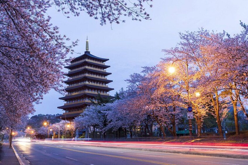 Gyeongju's Top Attractions on Private Tour with a Licensed guide 1