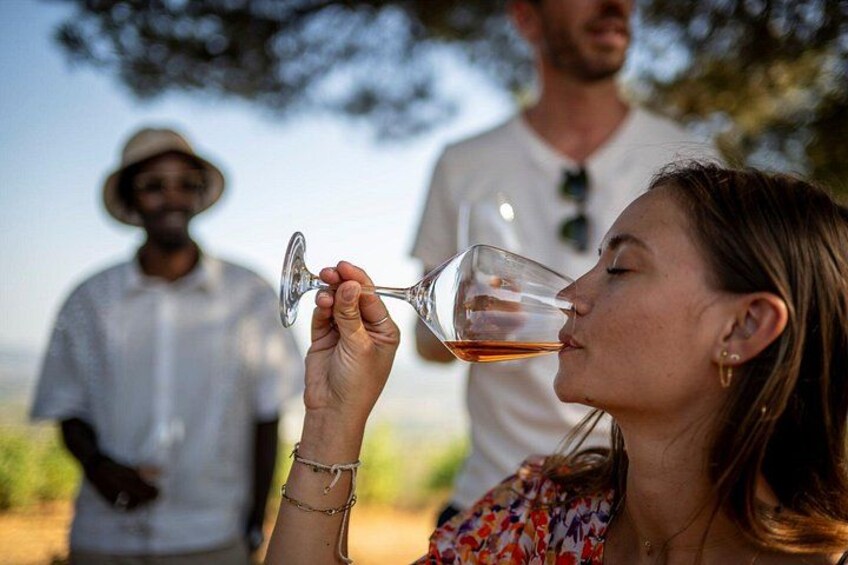 Une personne tenant un verre de vin, avec un vignoble et des arbres en arrière-plan. 3
