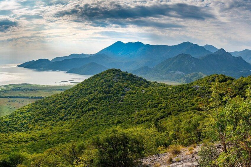 Full Day Private Skadar Lake Wine Tour Experience from Budva 1