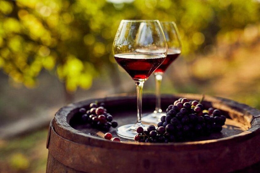 Full Day Private Skadar Lake Wine Tour Experience from Budva 2
