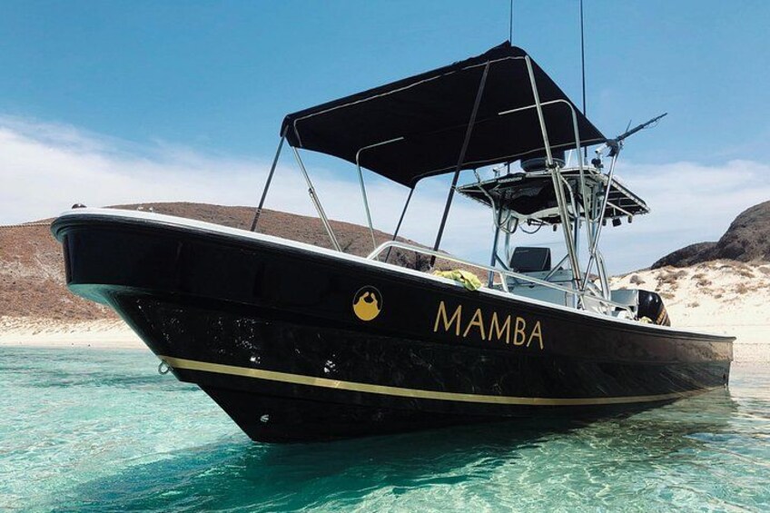 A black boat named 'MAMBA' on clear turquoise water with a beach and rocky hills in the background. 1