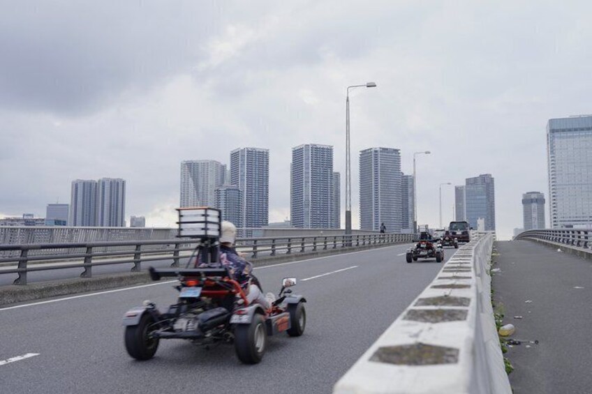 Tokyo Go-Kart Experience Through Ginza & Tokyo Bay (IDP Required) 4