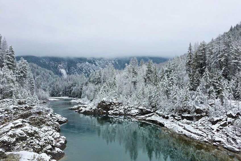 A snow-covered river surrounded by trees. 3