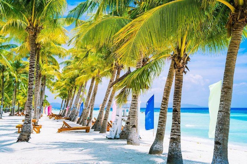 A beach with palm trees, white sand, and a clear blue sea. 2