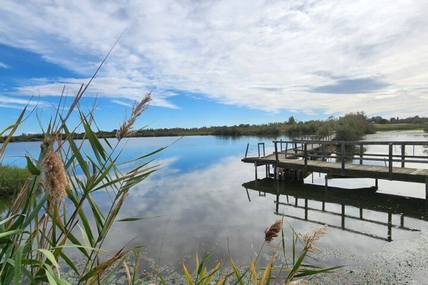 Day in Camargue Aigues-Mortes and St Marie de la mer 4