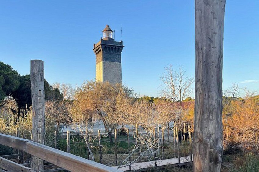A lighthouse, a wooden fence, and leafless trees. 5