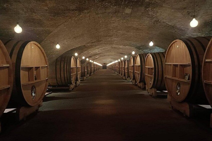 Cellar 3