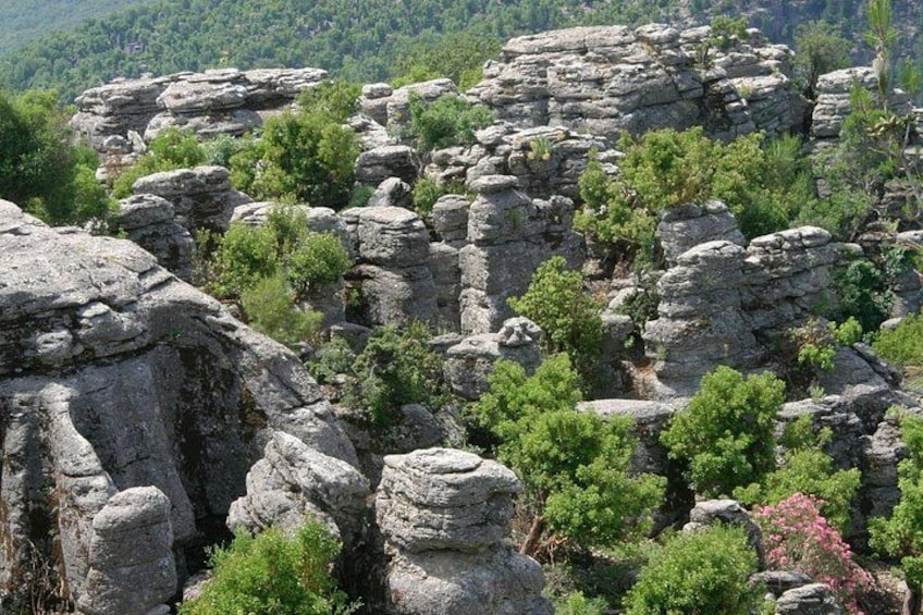 A rocky landscape with prominent rock formations and dense green vegetation. 5