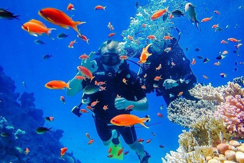Nha Trang: Hon Mieu and Hon Tam Island Tour with Lunch 2