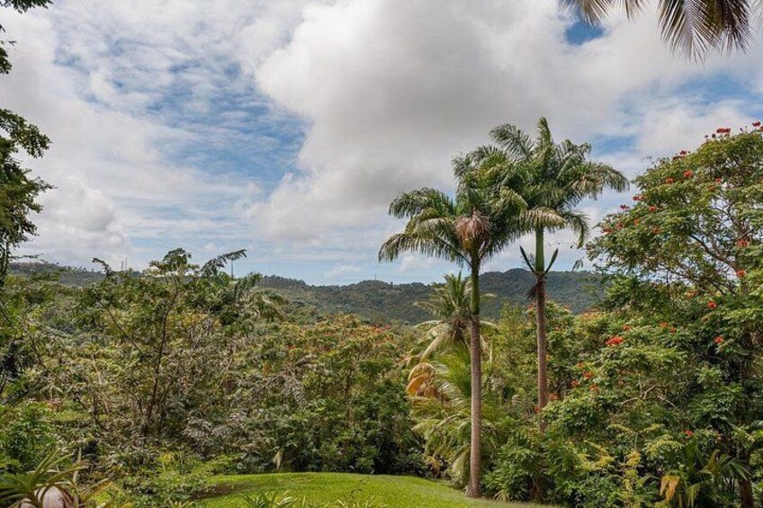Full Day Garden Delight Private Tour in Barbados 4