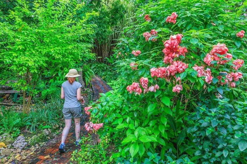 Full Day Garden Delight Private Tour in Barbados 2