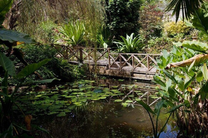 Full Day Garden Delight Private Tour in Barbados 1
