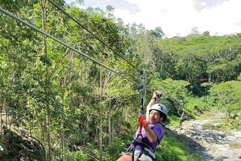 A person zip-lining through a forested area with dense vegetation and a rocky stream. 1