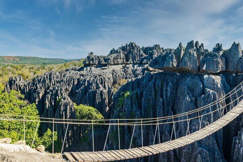 7- Days Private Tour Baobab Safari 2