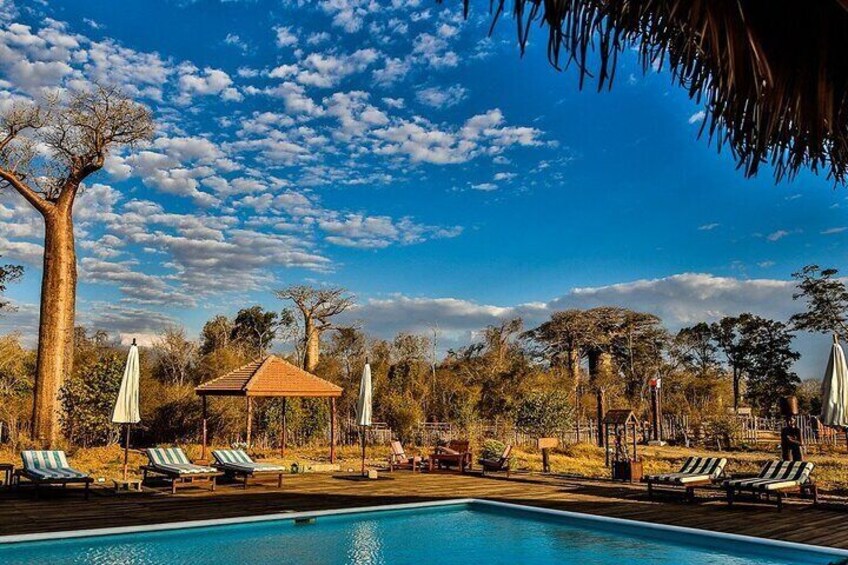 7- Days Private Tour Baobab Safari 1