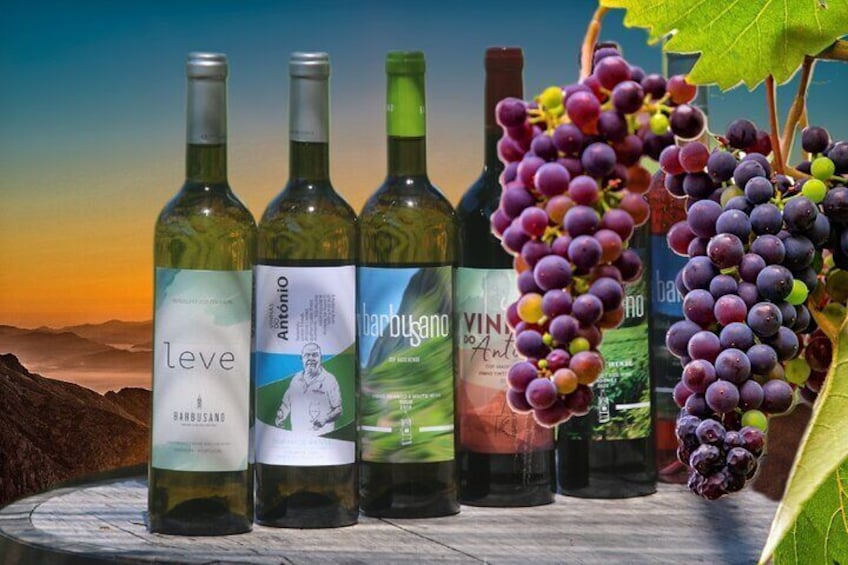 Quattro bottiglie di vino con etichette, un grappolo d'uva e uno sfondo panoramico. 1